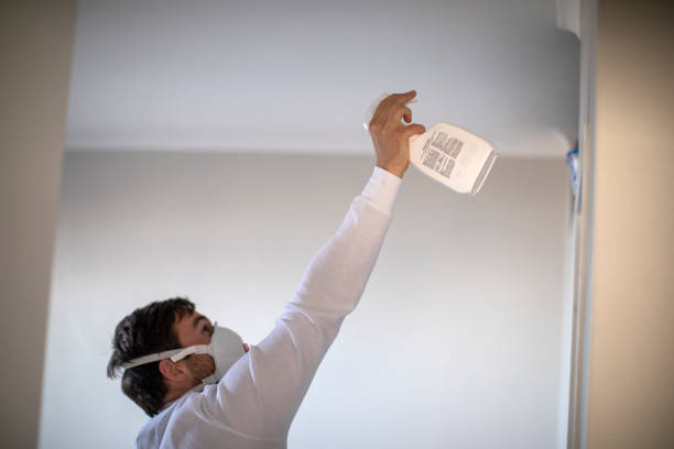 Best Localized Mold Remediation (e.g., coastal areas, humid climates) in Pewee Valley, KY