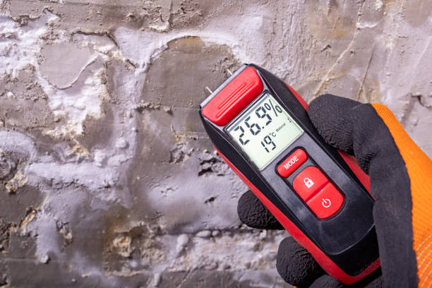 Best Post-Remediation Services in Pewee Valley, KY