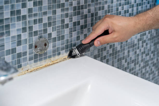 Best Residential Mold Remediation in Pewee Valley, KY